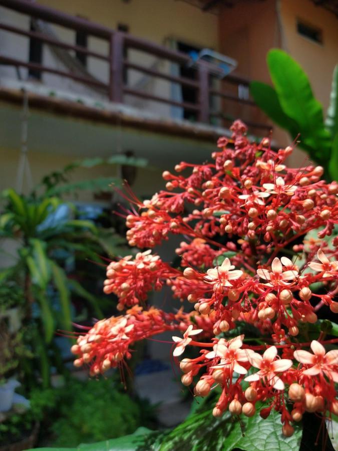 Residencial Caetano's Apartamento *